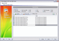 EMS Data Import 2007 for SQL Server screenshot